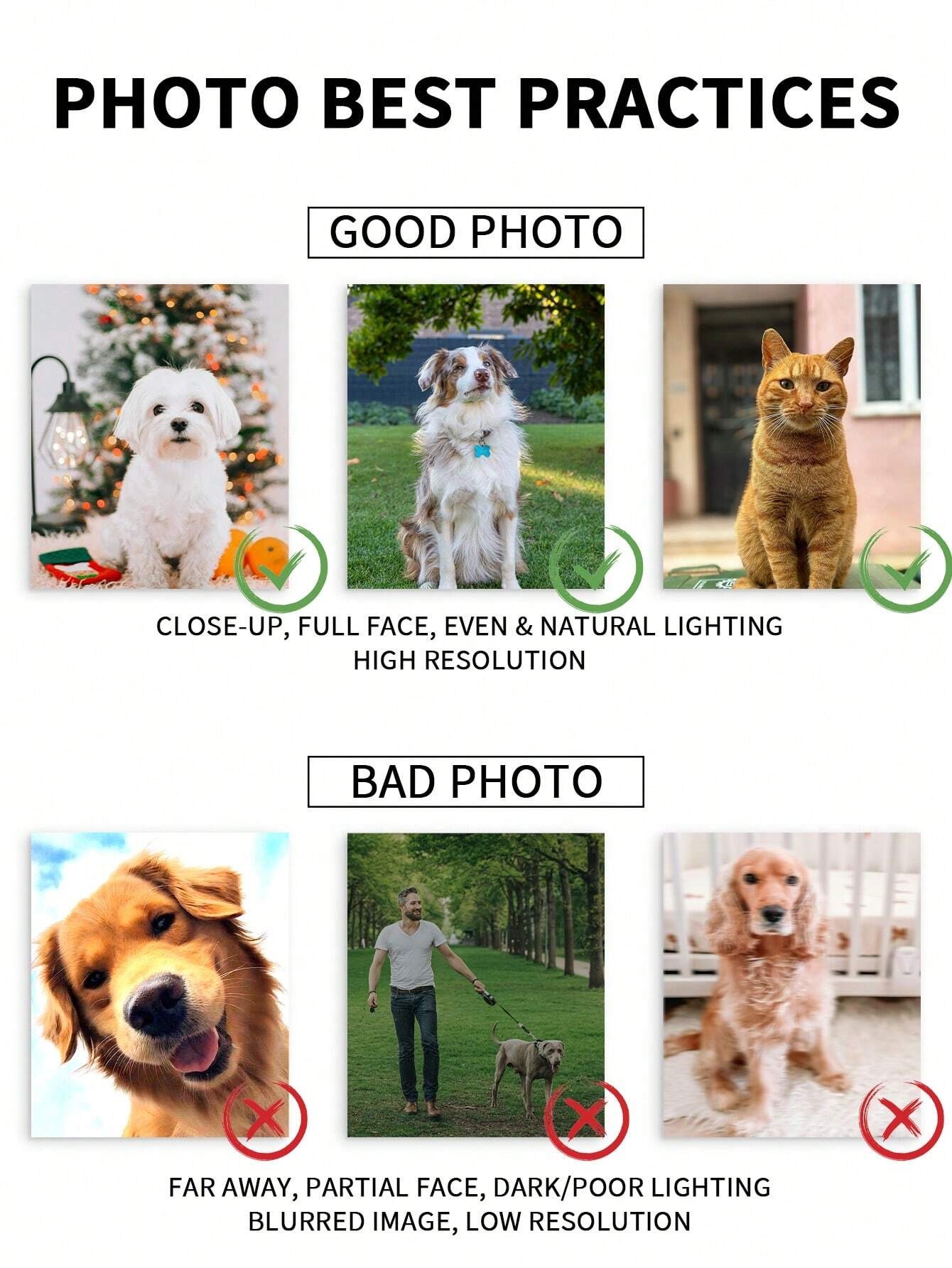 Customized Watercolor Pet Port - огляд і ціна Pet Portrait Custom